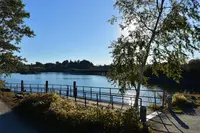View 29
