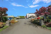 View 25