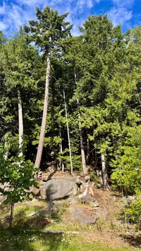 View 14