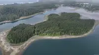 View 5