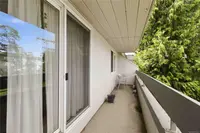 View 14