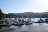 View 50