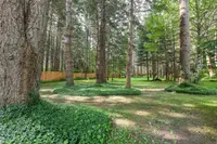 View 67