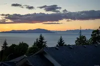 View 28