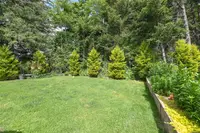 View 38