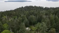 View 51