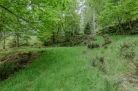 View 44