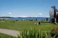 View 39
