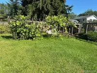 View 6