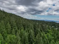 View 10