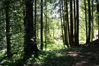View 26