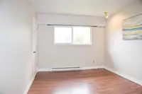 View 15