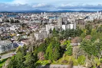 View 40