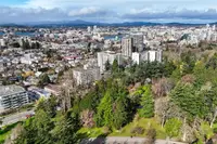 View 39