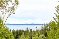 View 49