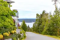 View 55