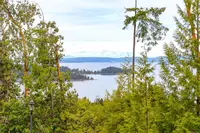 View 54