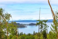 View 50
