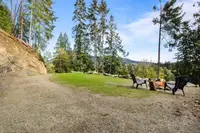 View 15