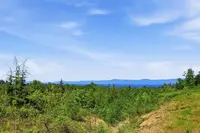 View 46