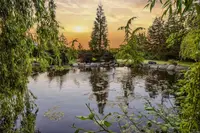 View 17