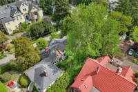 View 40