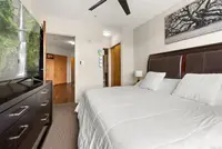 View 25