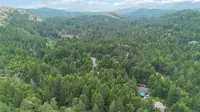 View 27