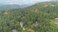 View 21