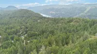 View 12