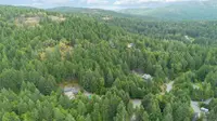 View 10