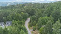 View 19