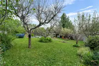 View 30