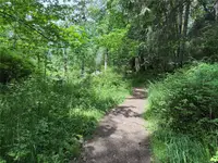 View 16