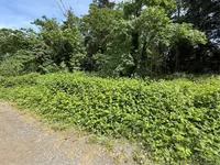 View 10