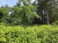 View 14