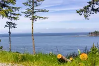 View 26
