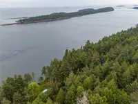 View 50