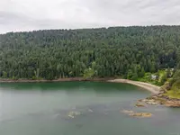 View 39