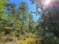 View 29