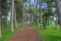 View 21