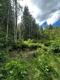 View 13