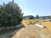 View 6