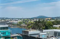 View 21