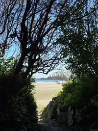 View 37