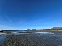View 39