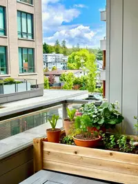 View 8