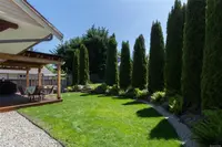 View 30