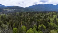 View 41
