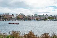 View 61